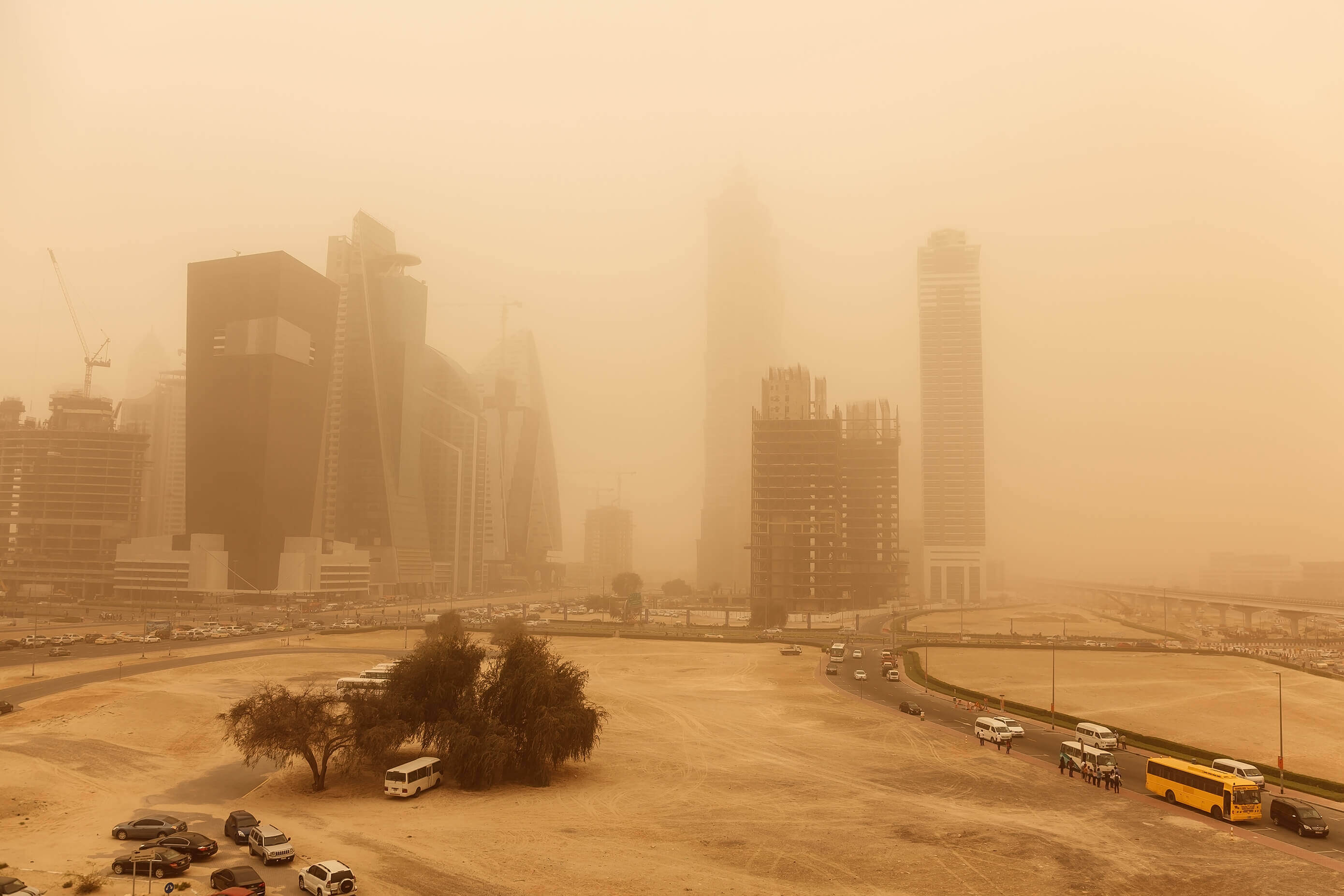 Why Did 'Particle Pollution' Increase in UAE as Roads Emptied during  Pandemic?