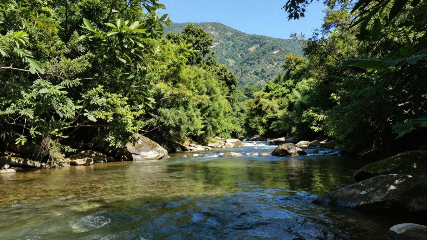 Scenic view of a clean river flowing through a forest.