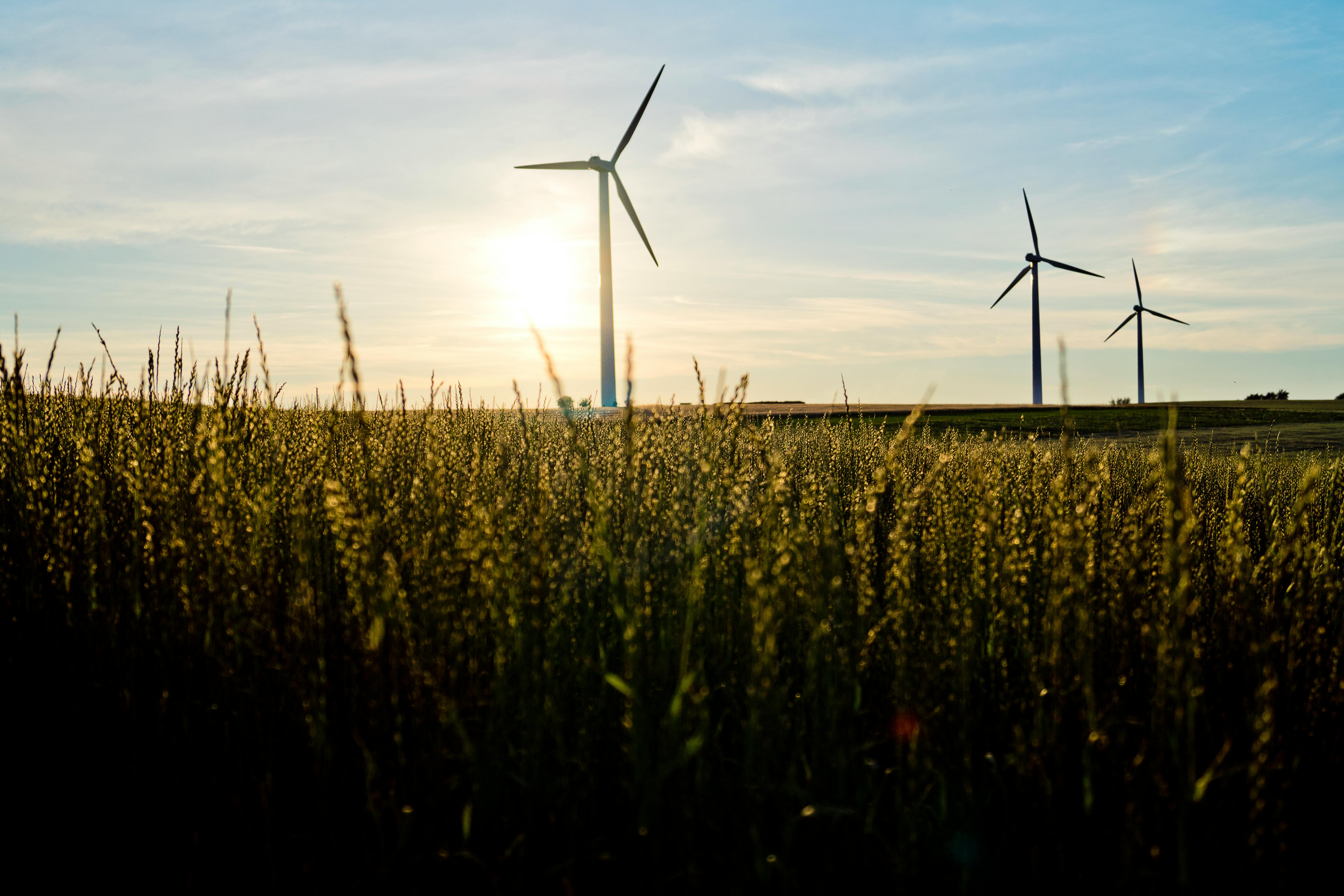 Scope 3 software to track green technology