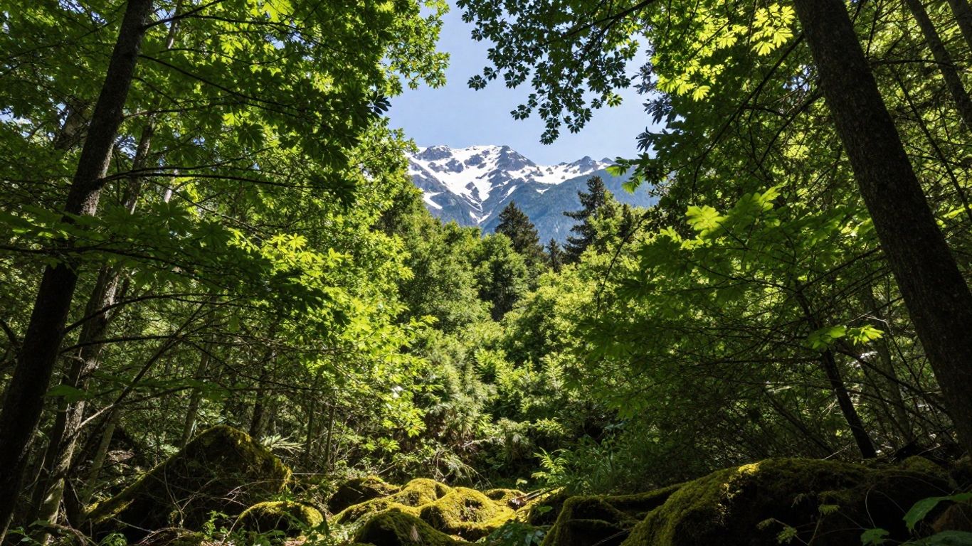Forest scene with mountain tops