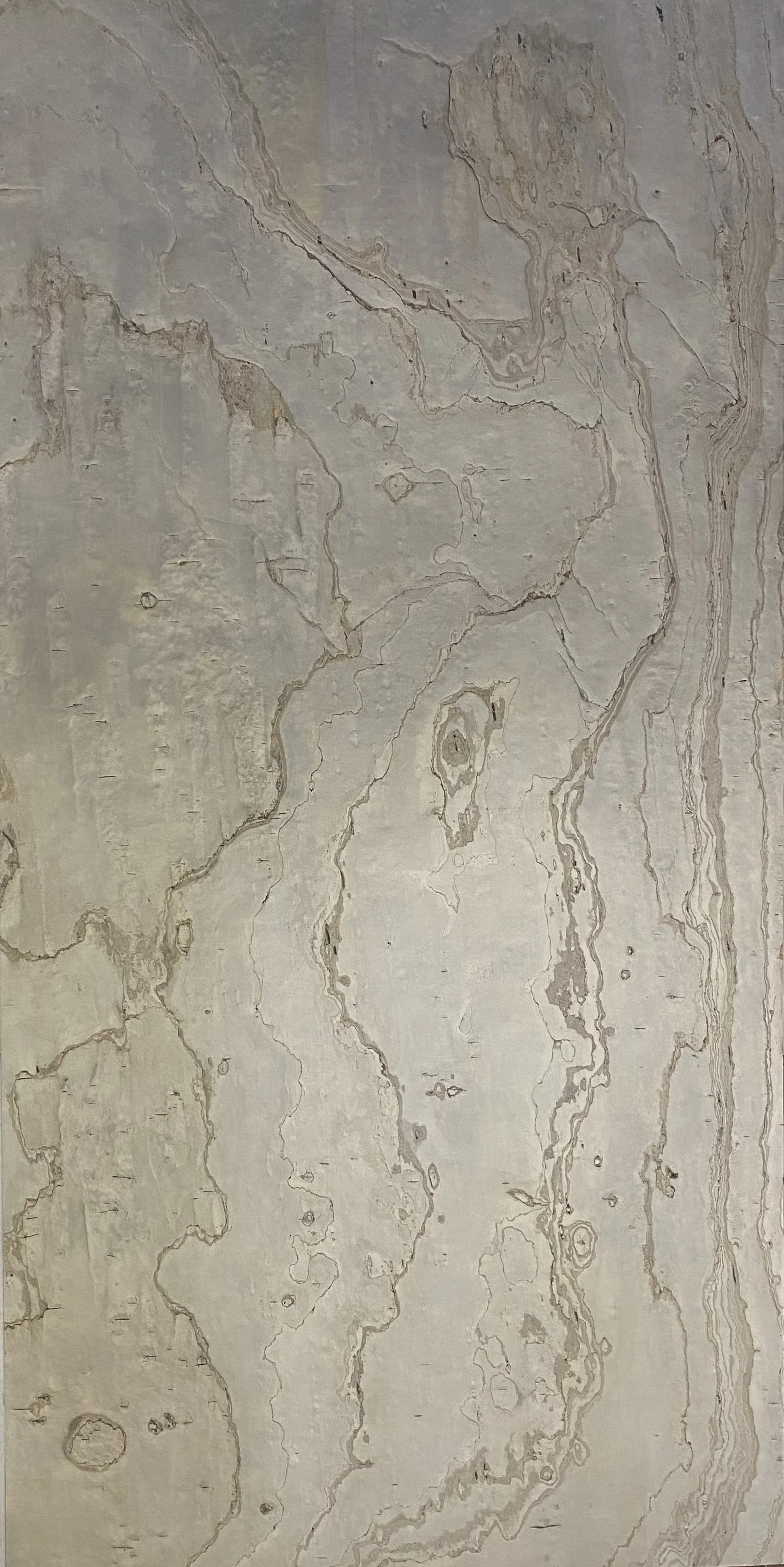 Desert Beige stone slab with soft beige and neutral tones