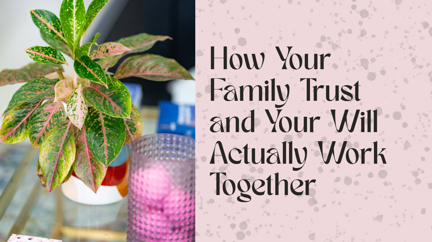 Potted leafy plant next to text overlay reading "How Your Family Trust and Your Will Actually Work Together" by Respect Wills & Estates.