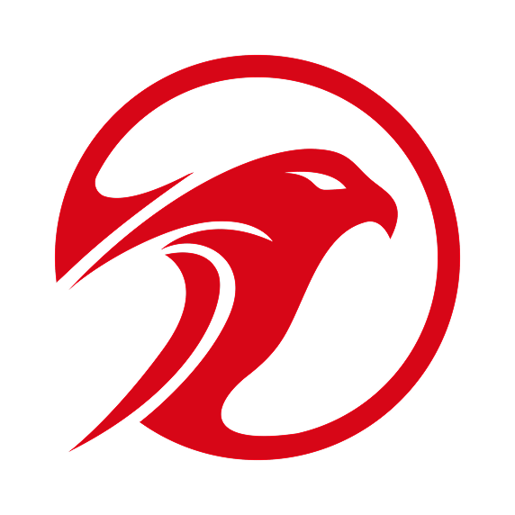 Falcons.ai