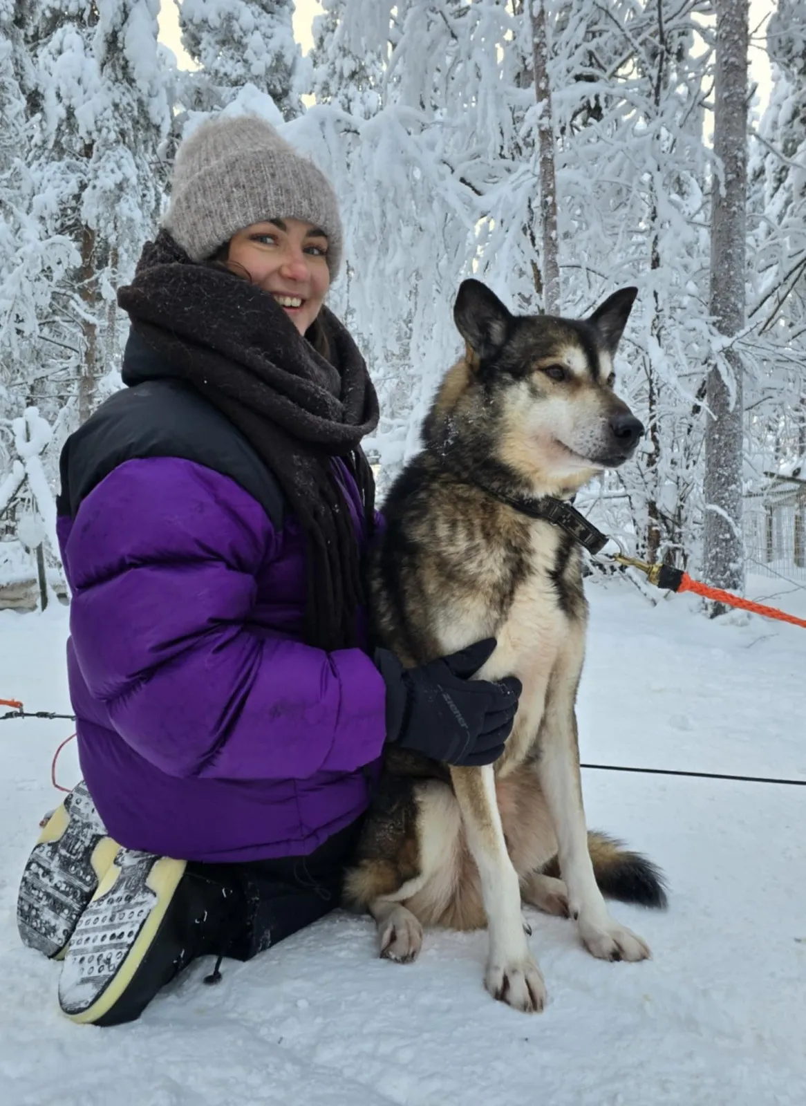 Guest meeting a Siberian Husky at Tundra Huskies near Levi