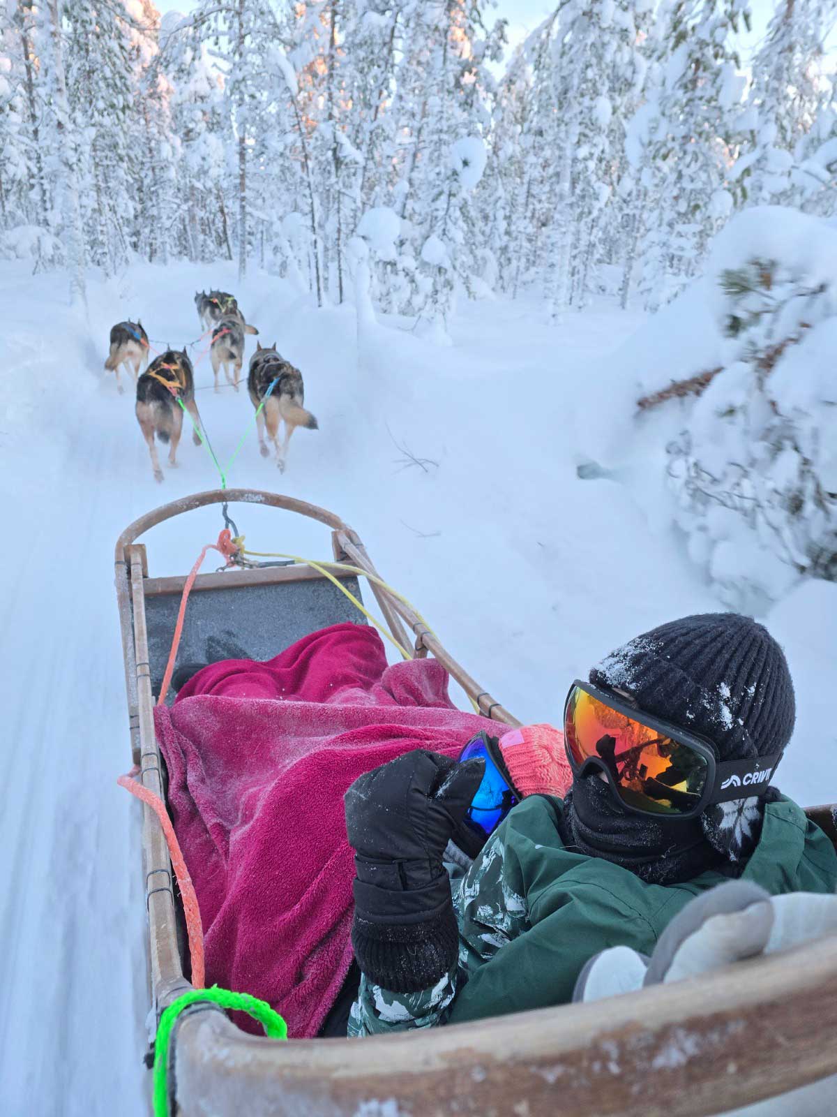 Family husky safari experience in the snowy landscape near Levi