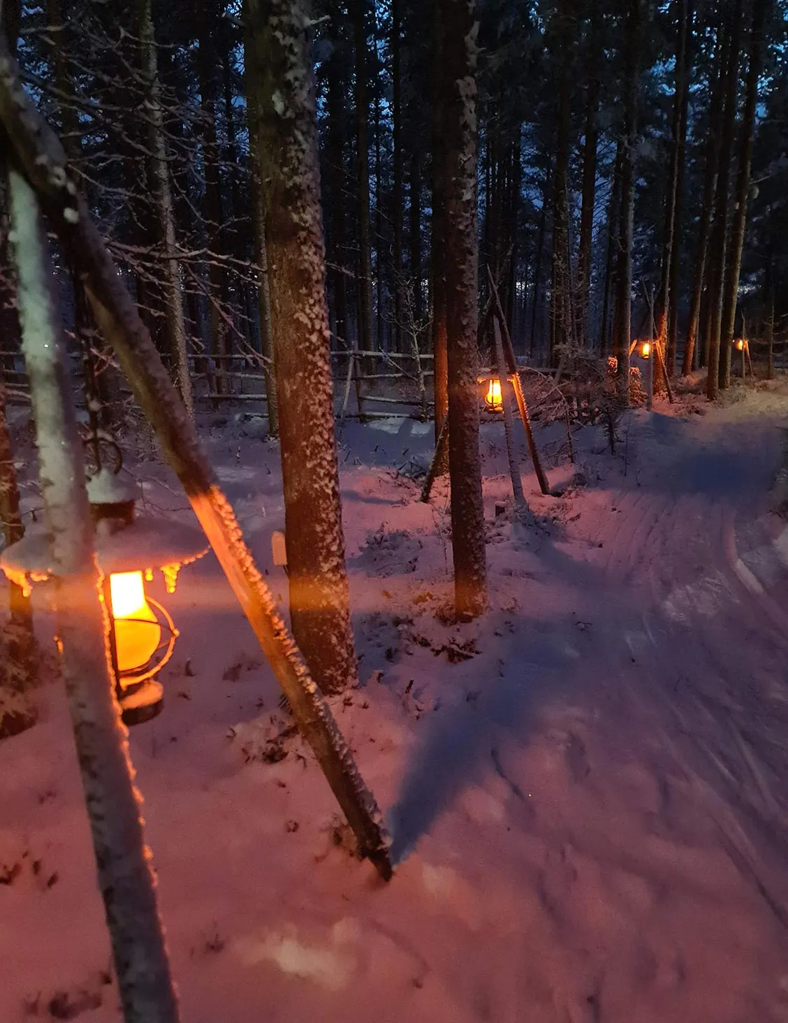 Snow-covered lanterns glowing at the Tundra Huskies farm near Levi