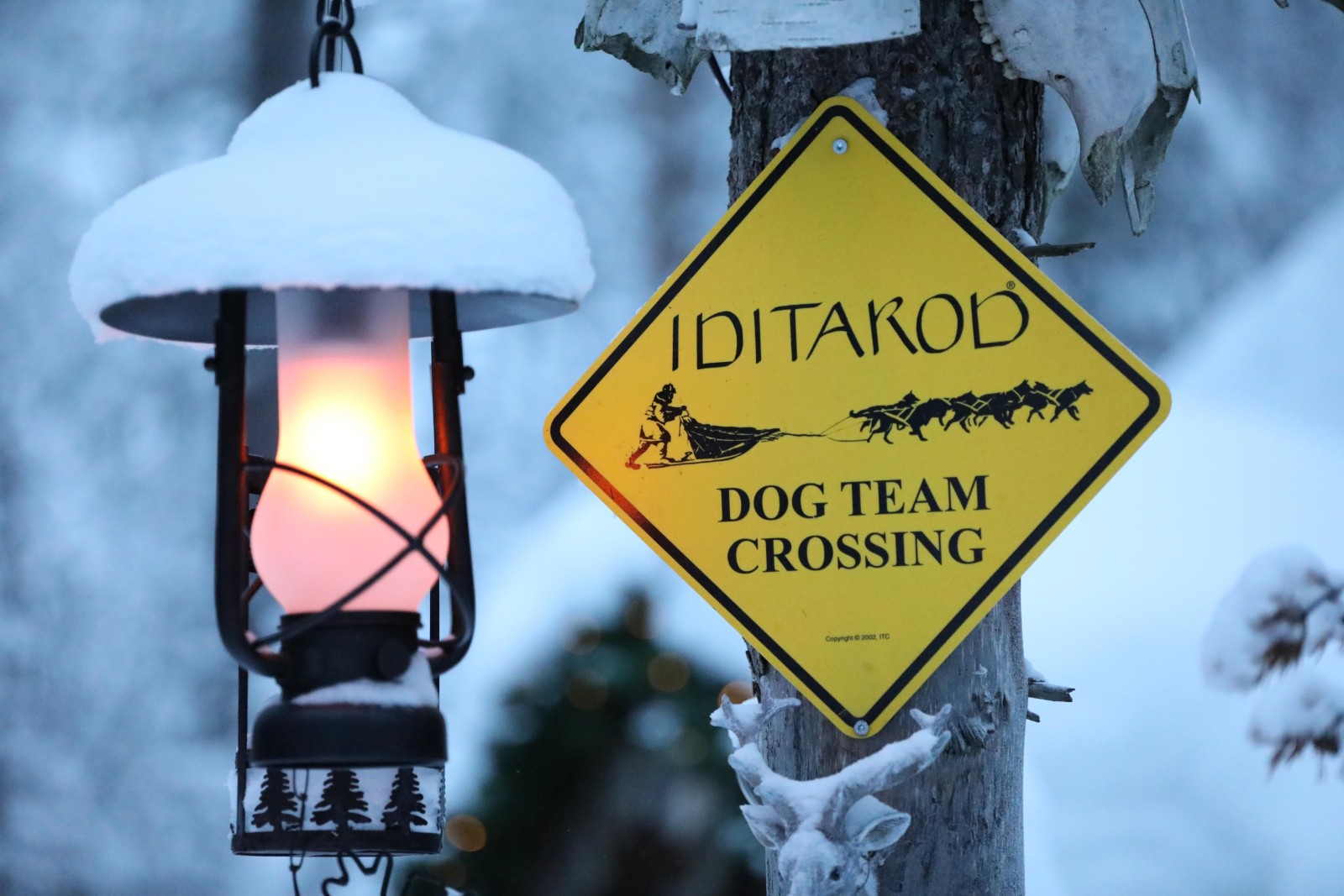 Lantern and dog team crossing sign at the Tundra Huskies farm