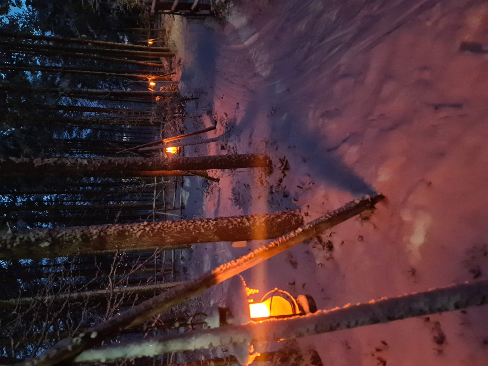 Lantern-lit snowy forest at Tundra Huskies in Lapland