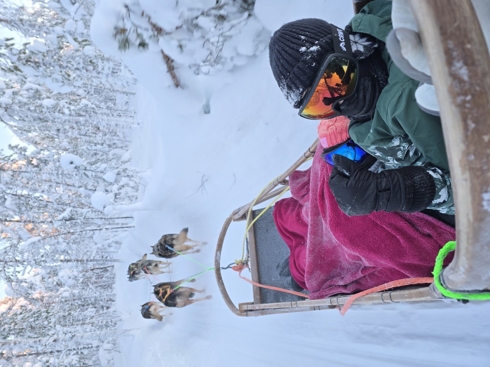 Child enjoying a husky sled ride through the snowy forest near Levi