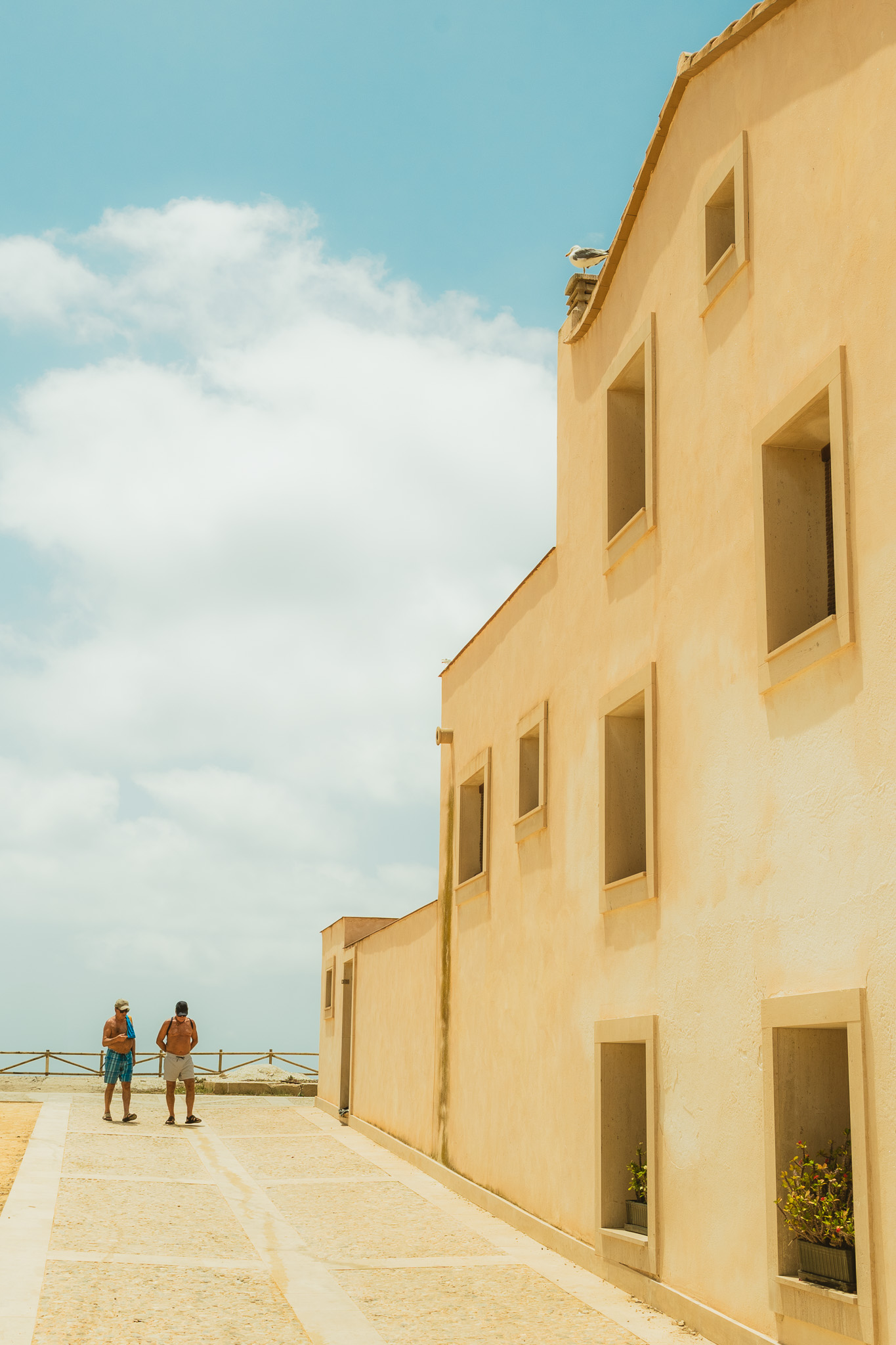 Two men in casual summer clothes standing on a paved path near a beige building with multiple open windows and potted plants, under a blue sky with scattered clouds; a seagull is perched on the building's roof.