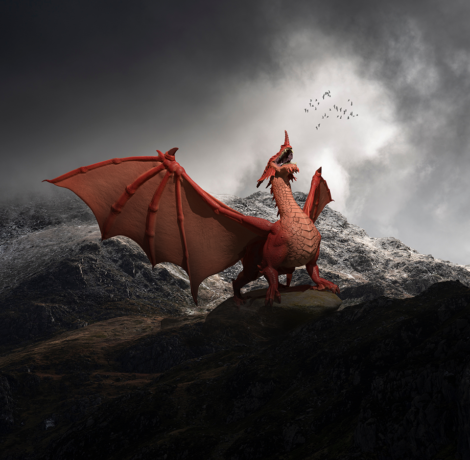 Promotional image for Wrexham FC Draig Goch