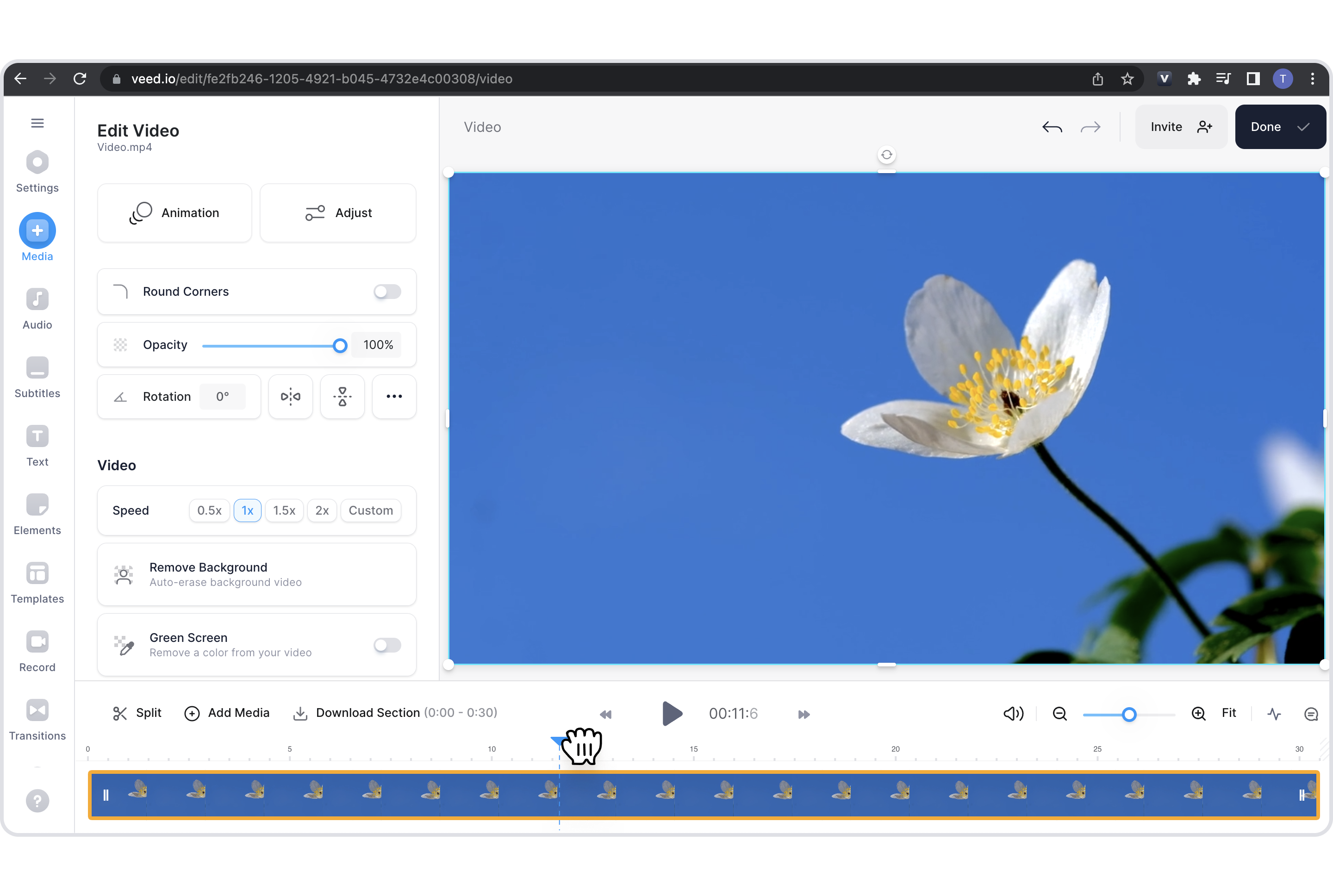 Snapshot of how to drag the blue playhead on VEED's editor