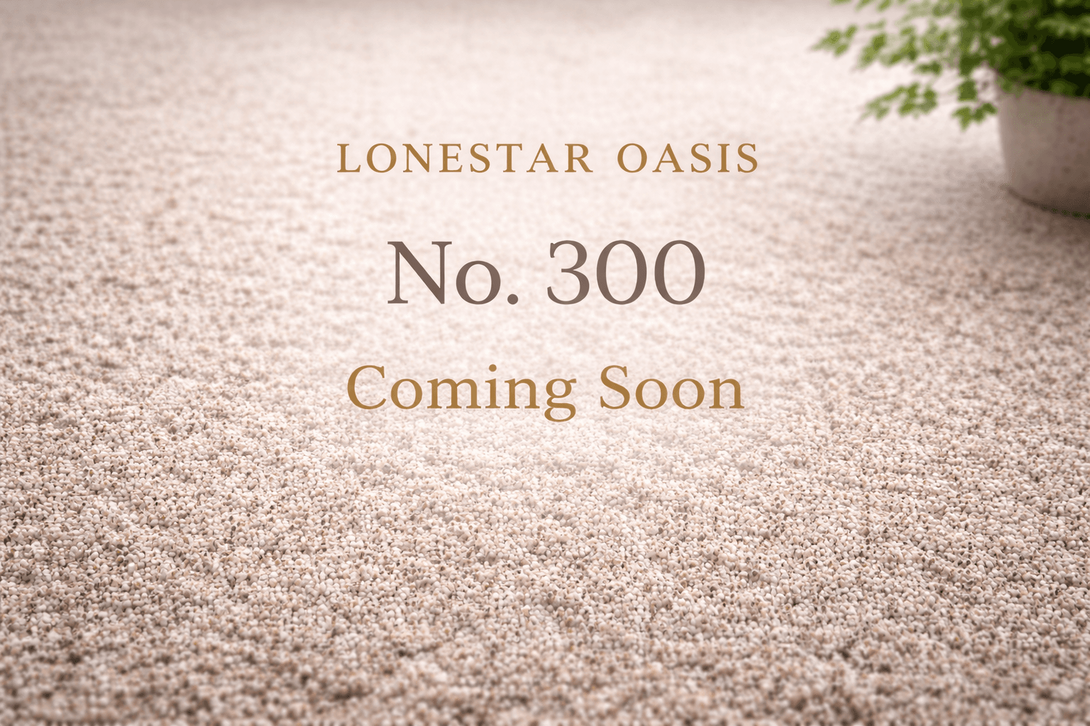 Lonestar Oasis