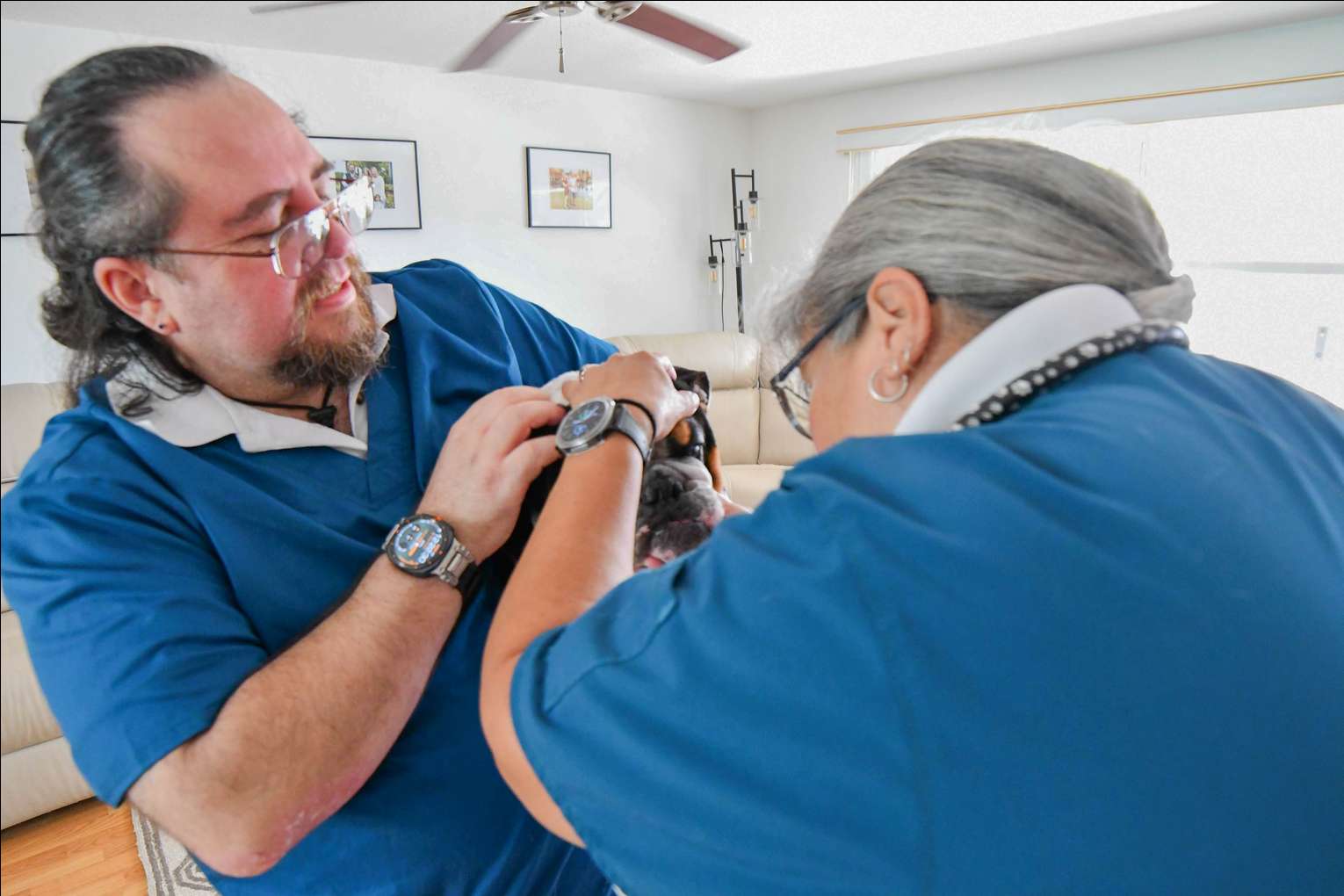 Veterinary team checking a dog during an in-home visit