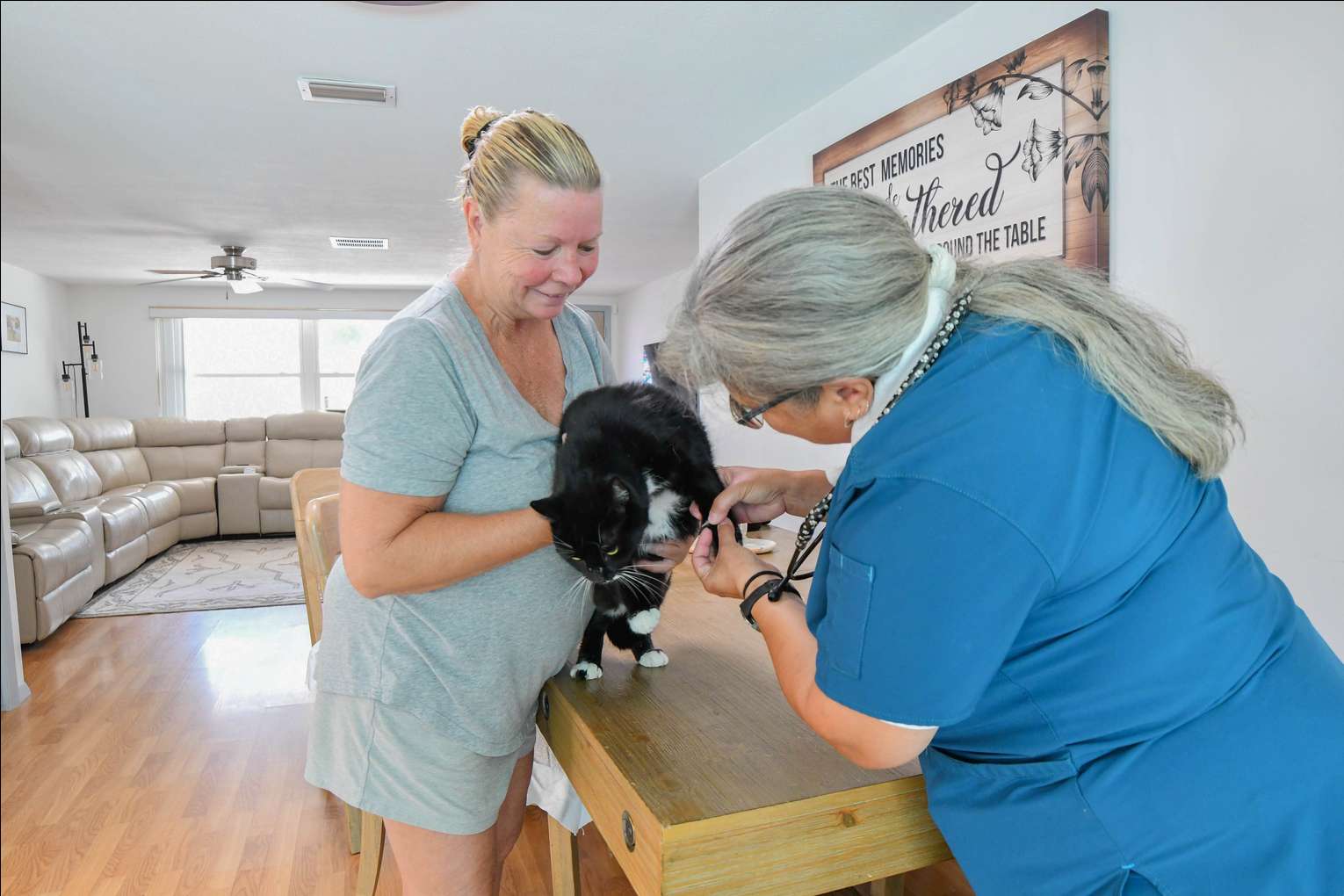 Veterinarian examining a cat held by its smiling owner
