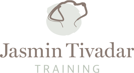 Jasmin Tivadar Training, Logo