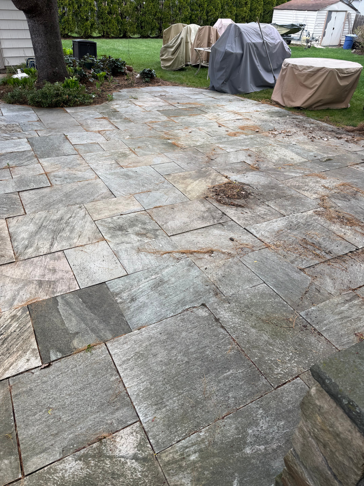 Bluestone patio with organic staining and dirt across the slabs