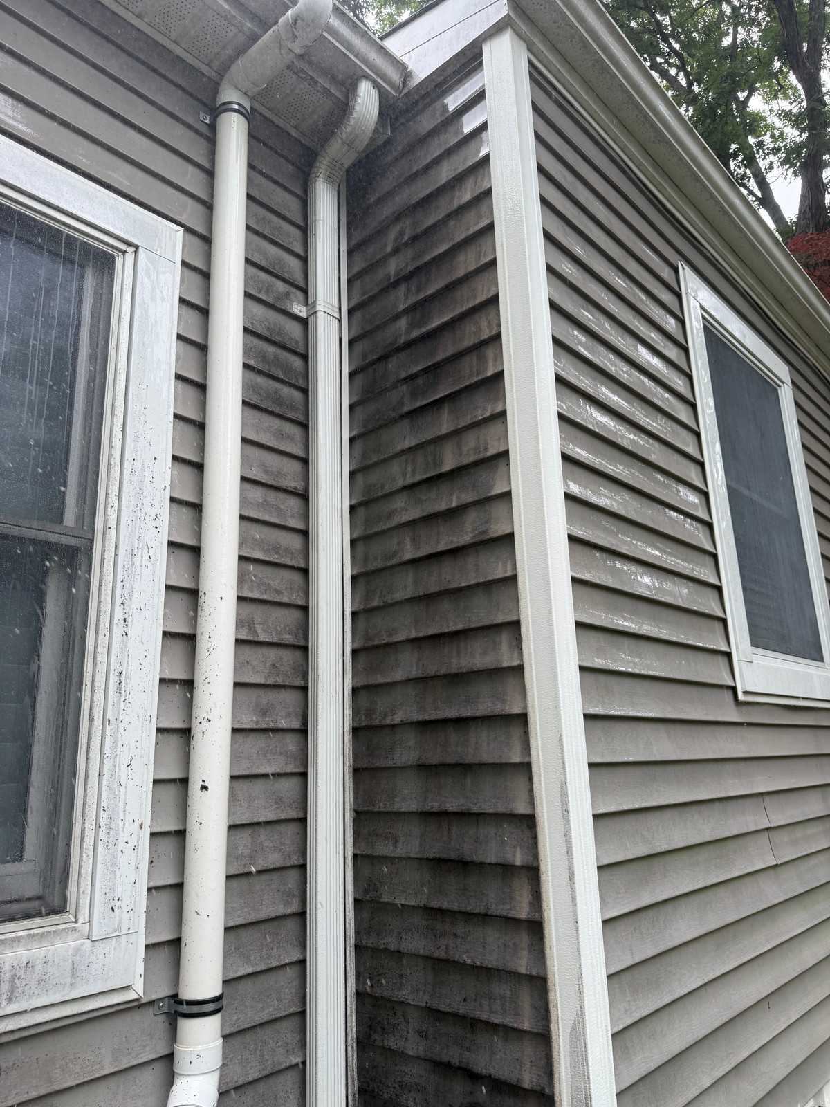 Corner of a house showing dark algae streaks on siding and downspout