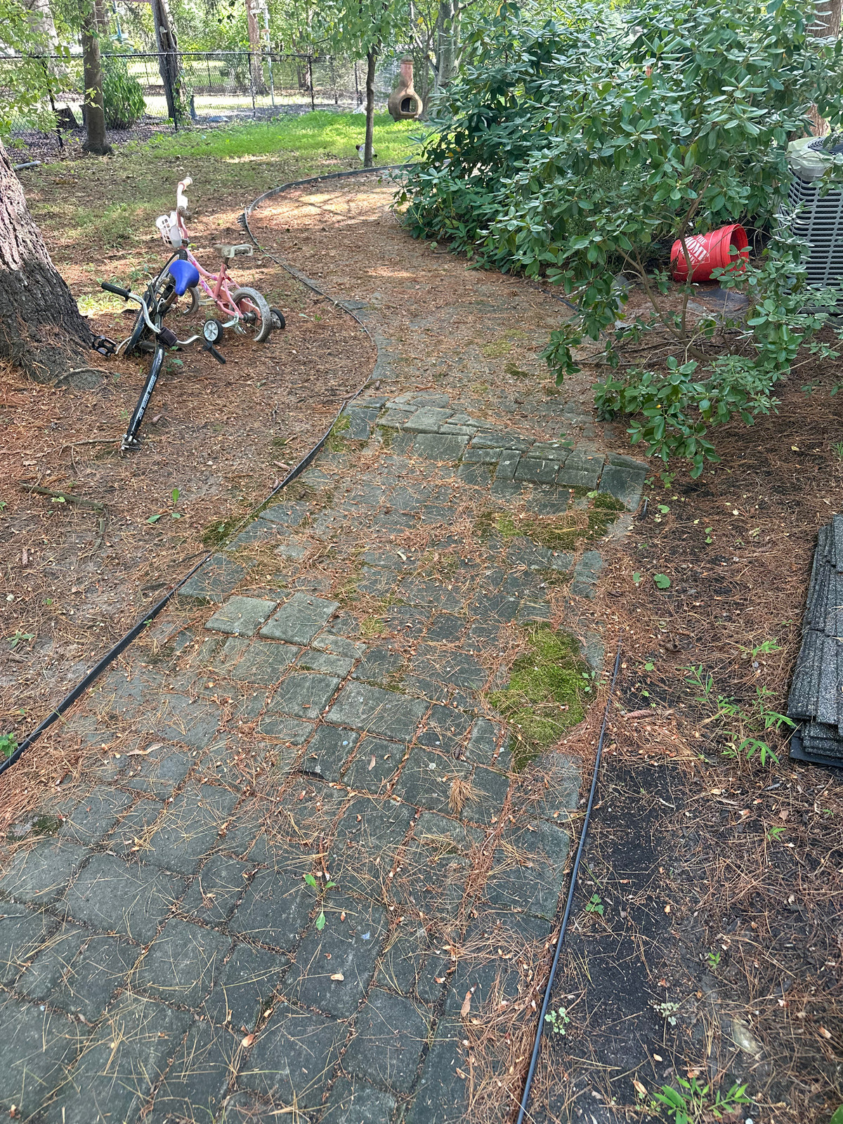 Curved paver walkway buried under moss, dirt and pine needles