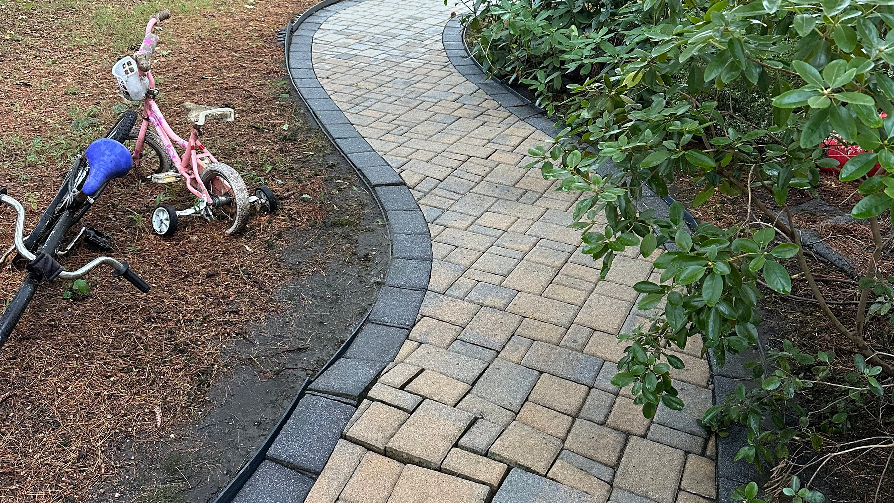 Curved paver walkway after cleaning and re-sanding, every stone and border visible