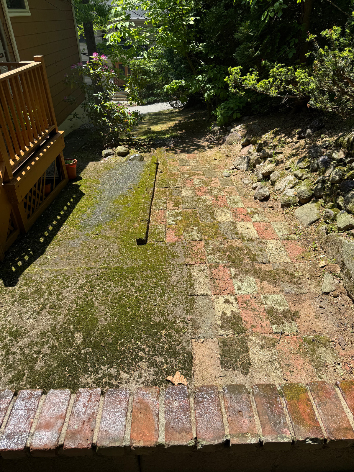 Concrete and brick patio thick with green moss before cleaning