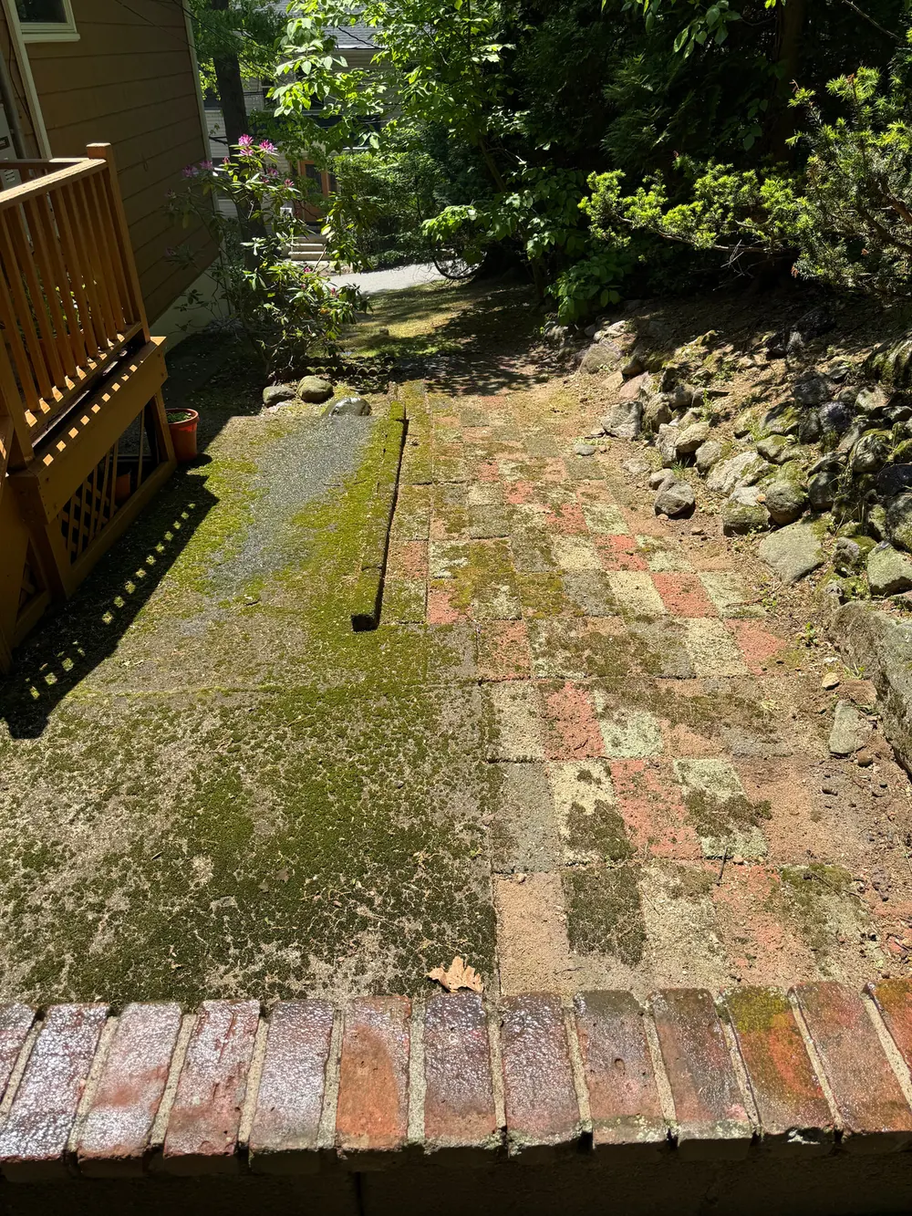 Concrete and brick patio thick with green moss before cleaning