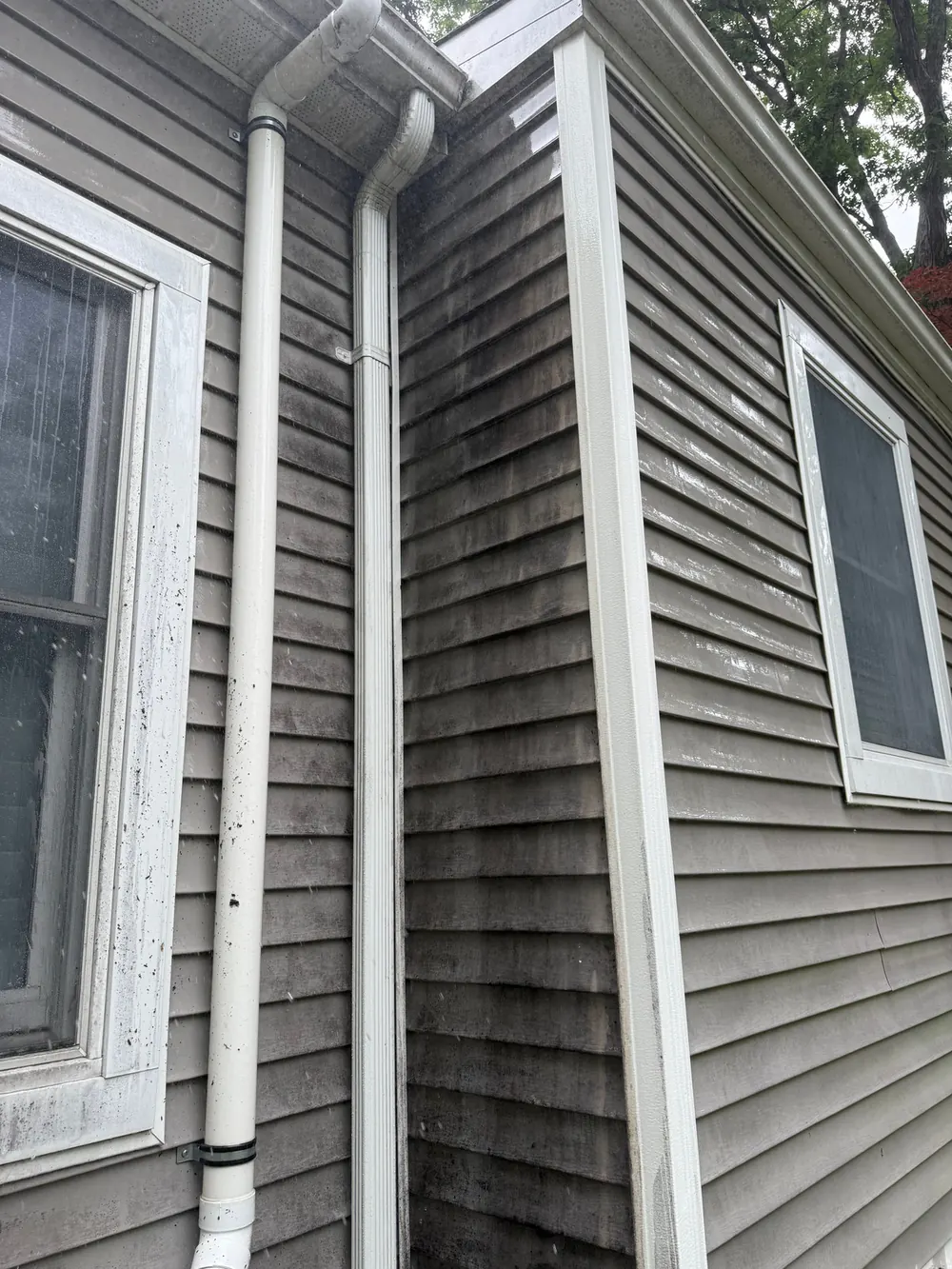 Corner of a house showing dark algae streaks on siding and downspout
