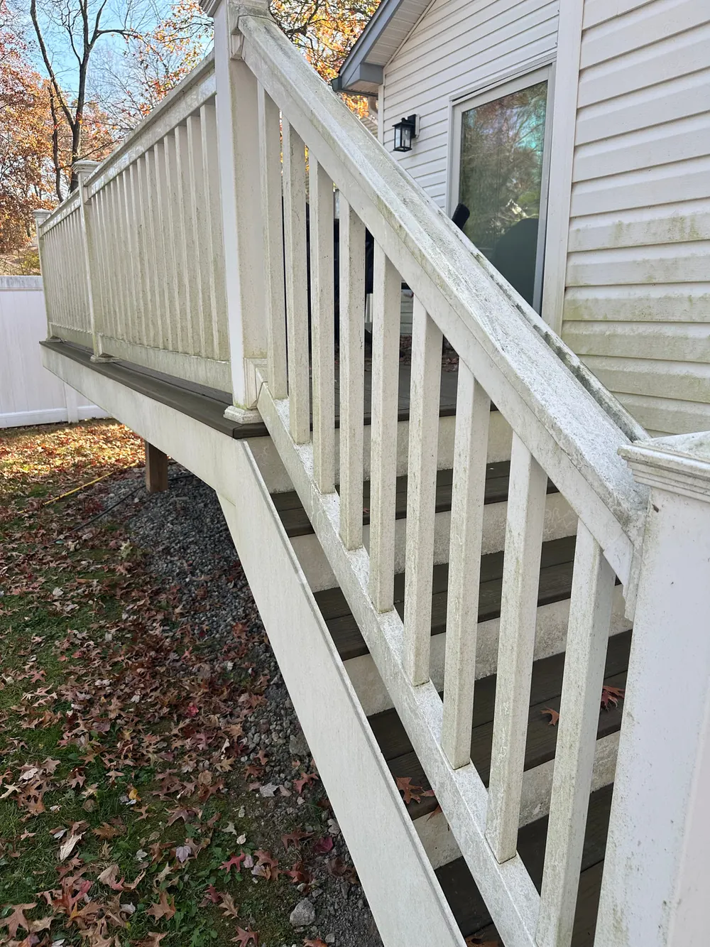 White vinyl deck railing greened with algae along the shaded side
