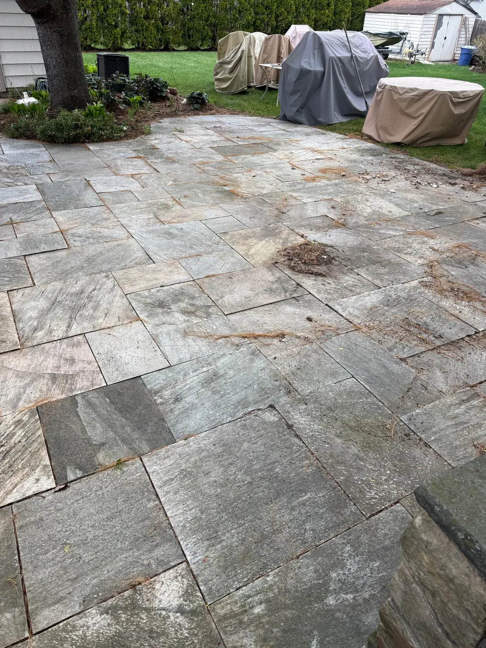 Bluestone patio with organic staining and dirt across the slabs