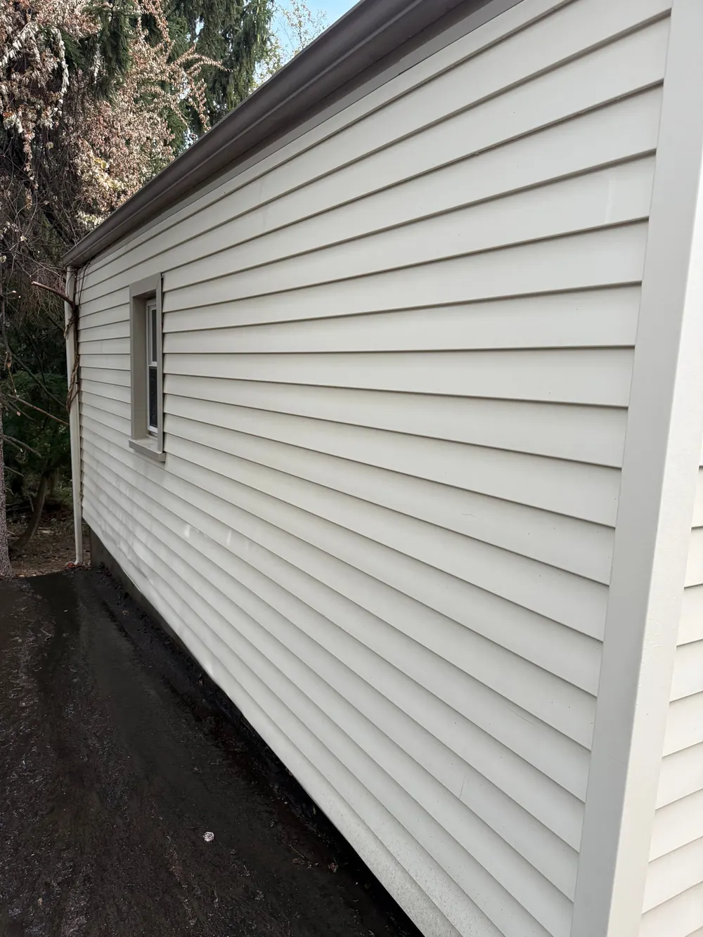 Heavy Algae Siding Soft Wash