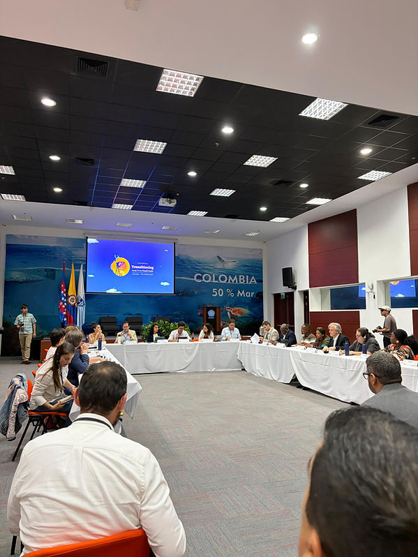 Subnationals Roundtable