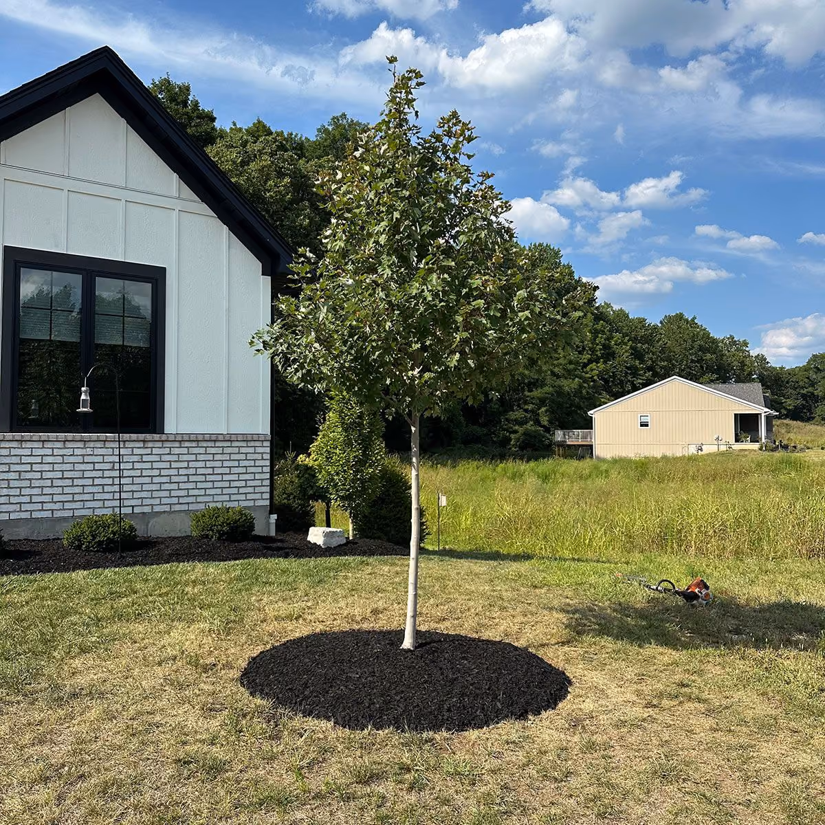 Fresh mulch installation by Triscapes near me creating clean, defined landscape beds and enhanced curb appeal


