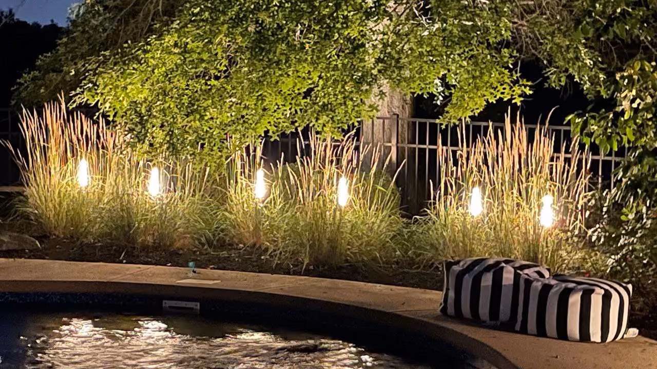 Triscapes professional landscape lighting near me illuminating walkways, trees, and outdoor features with custom low voltage lighting.