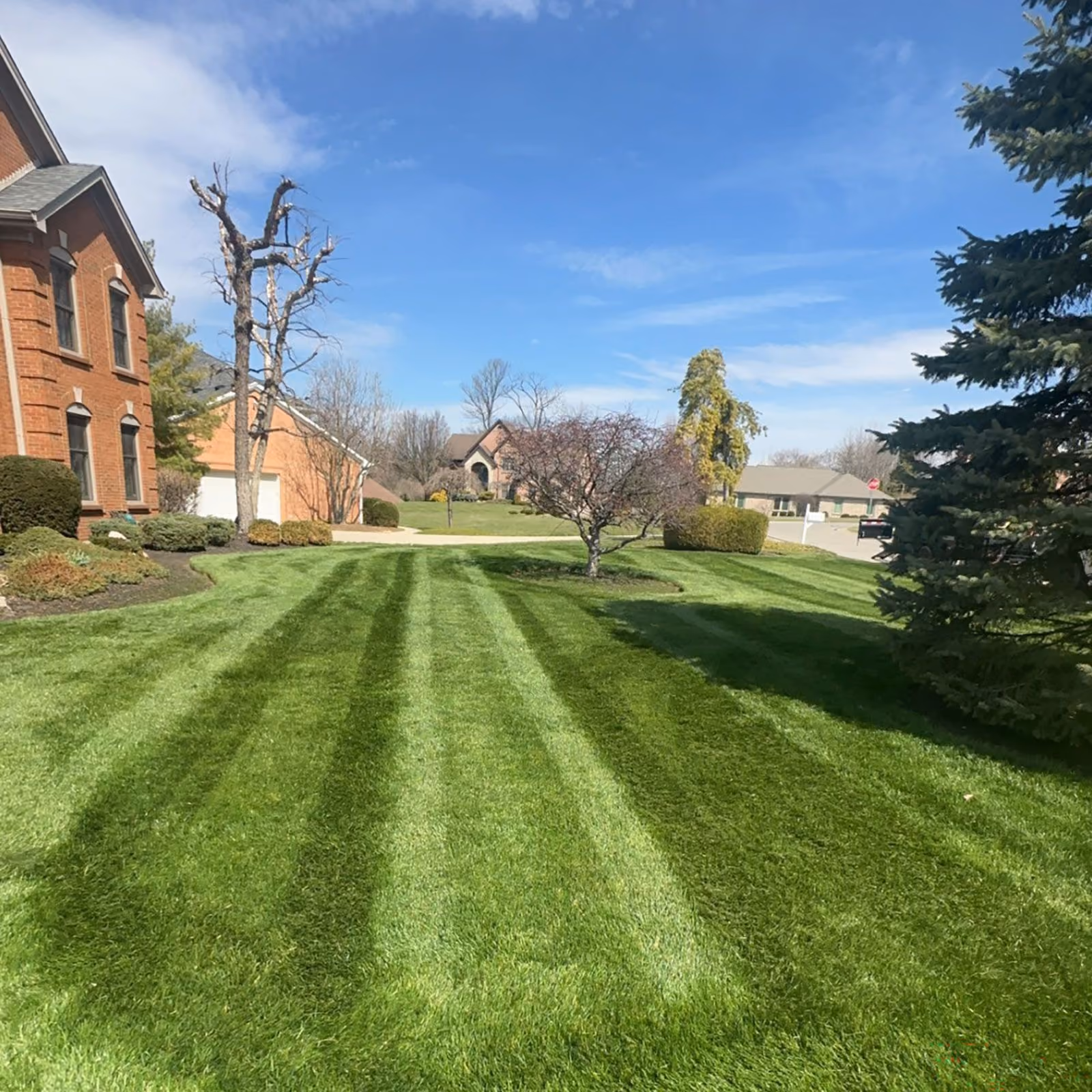 Triscapes professional lawn maintenance near me featuring freshly mowed grass, crisp edging, and a clean, well-maintained property.