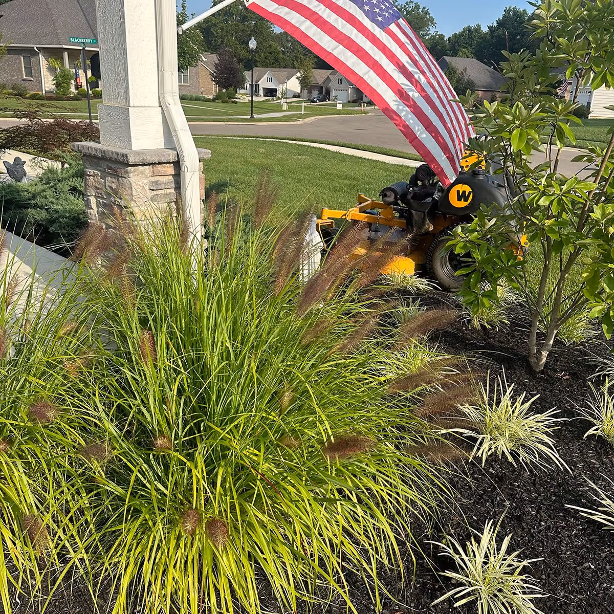 Triscapes professional landscaping near me featuring custom plant beds, healthy greenery, and beautifully maintained outdoor spaces.