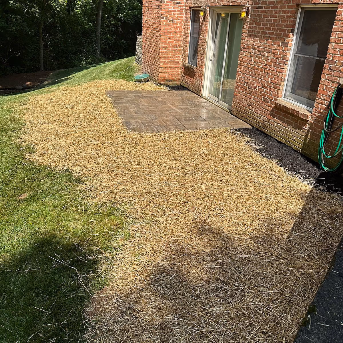 Triscapes professional sod installation near me creating a lush, healthy green lawn for a residential property.
