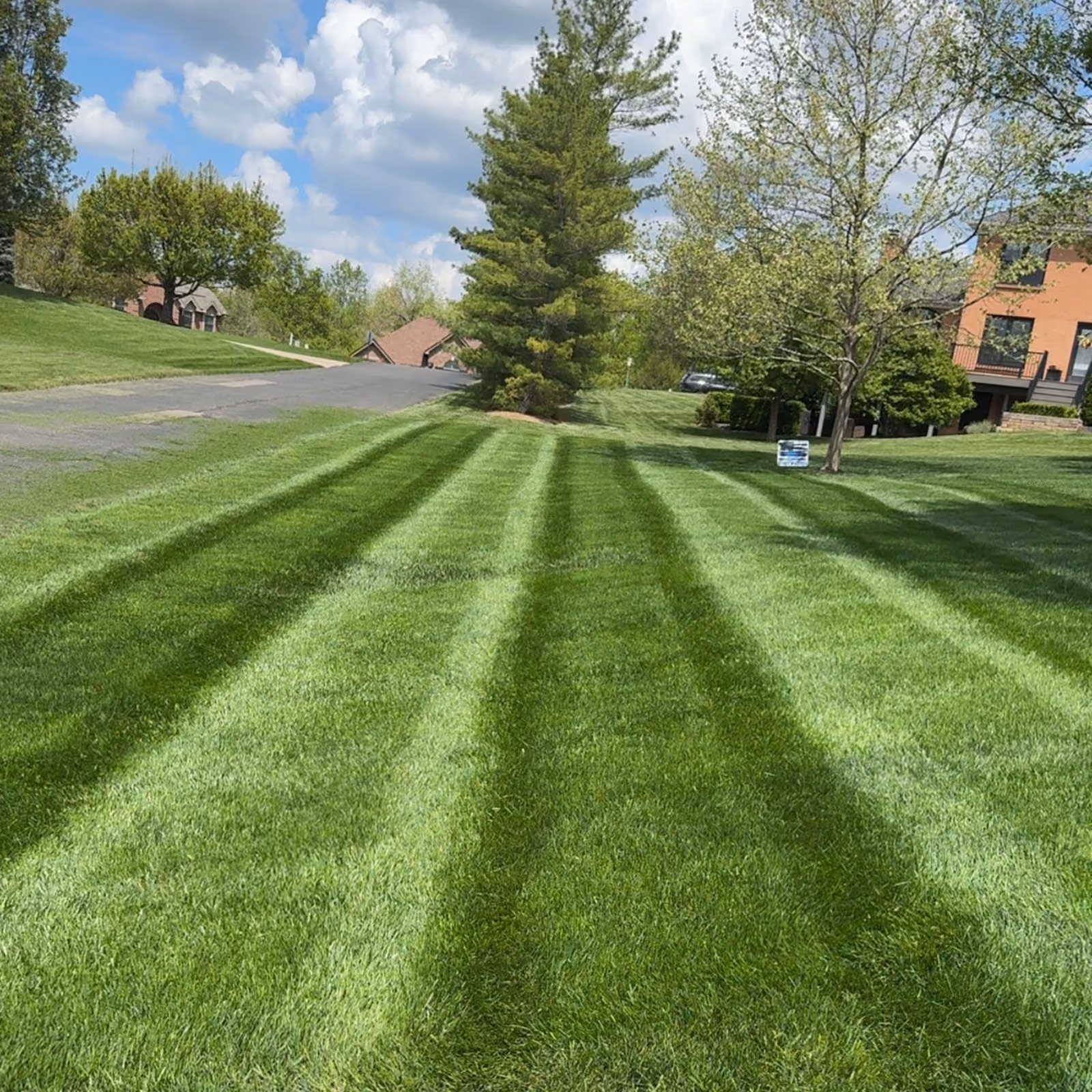 Weekly lawn care with clean edging and freshly cut grass by Triscapes
