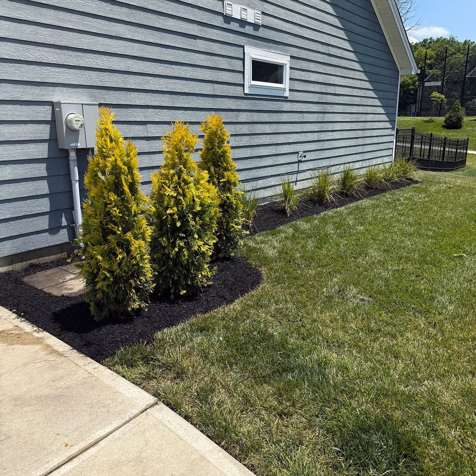 Custom residential landscaping by Triscapes with trees, plants, and fresh mulch
