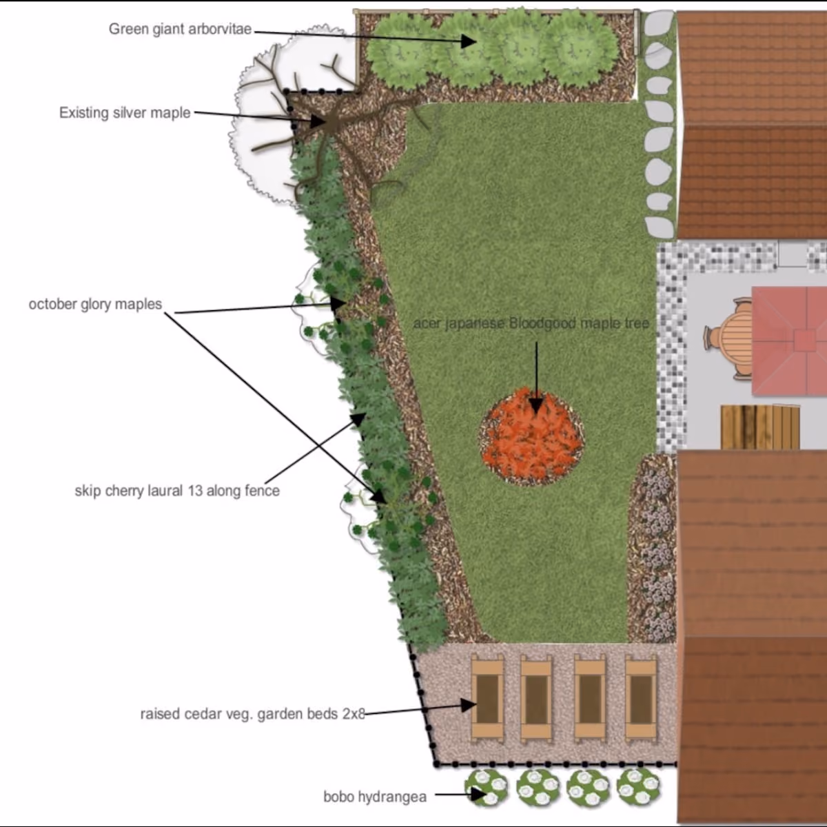 Professional landscape design with privacy trees and natural screening by Triscapes
