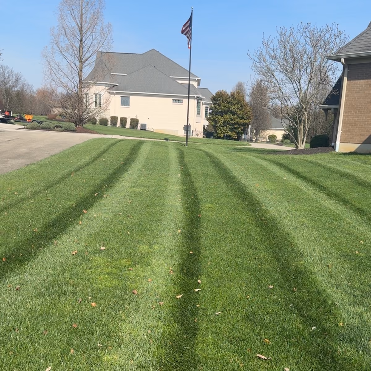 Triscapes professional lawn care service near me for a healthy, freshly maintained lawn