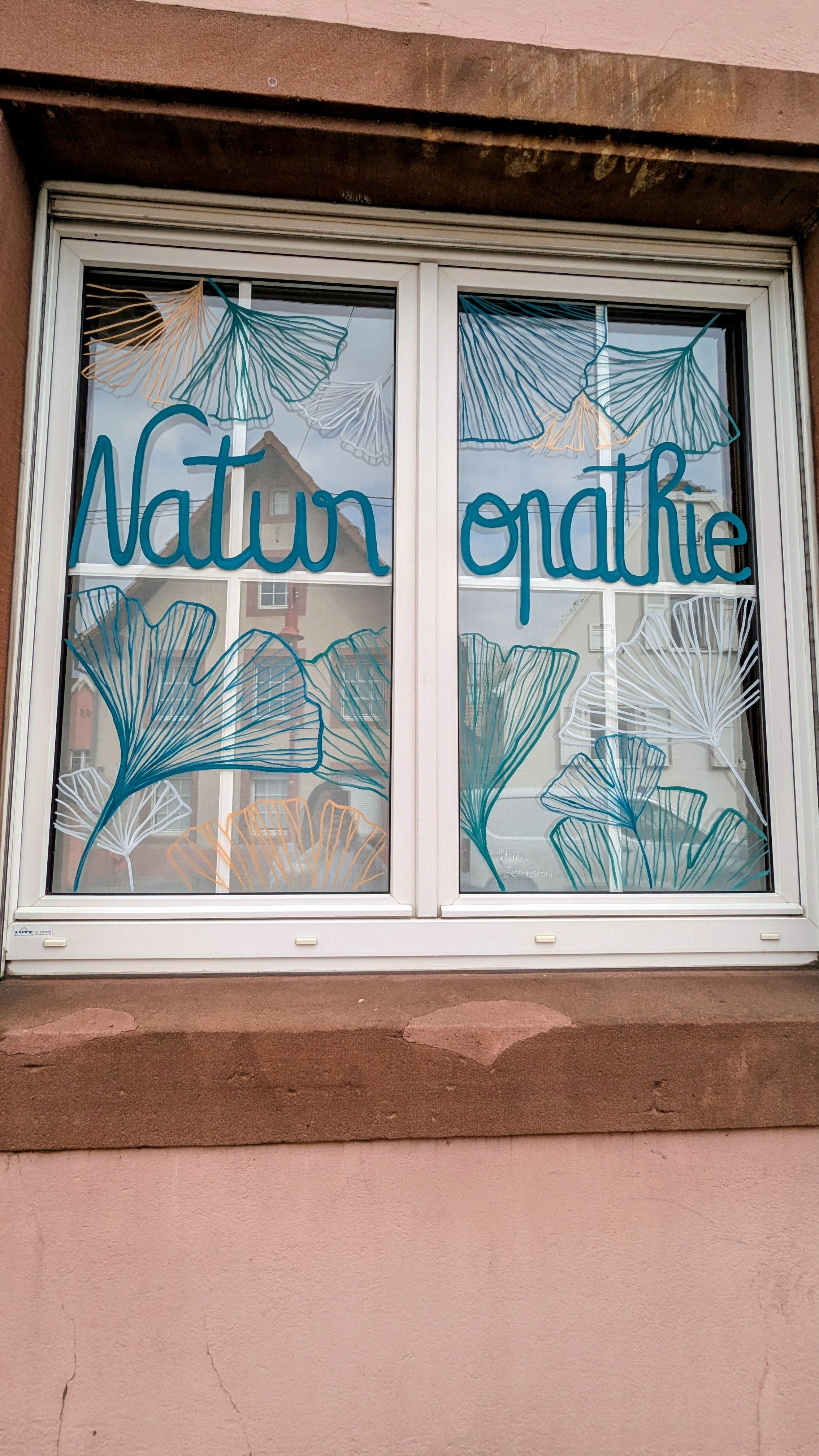 Vitrine Naturopathie - Niedermodern