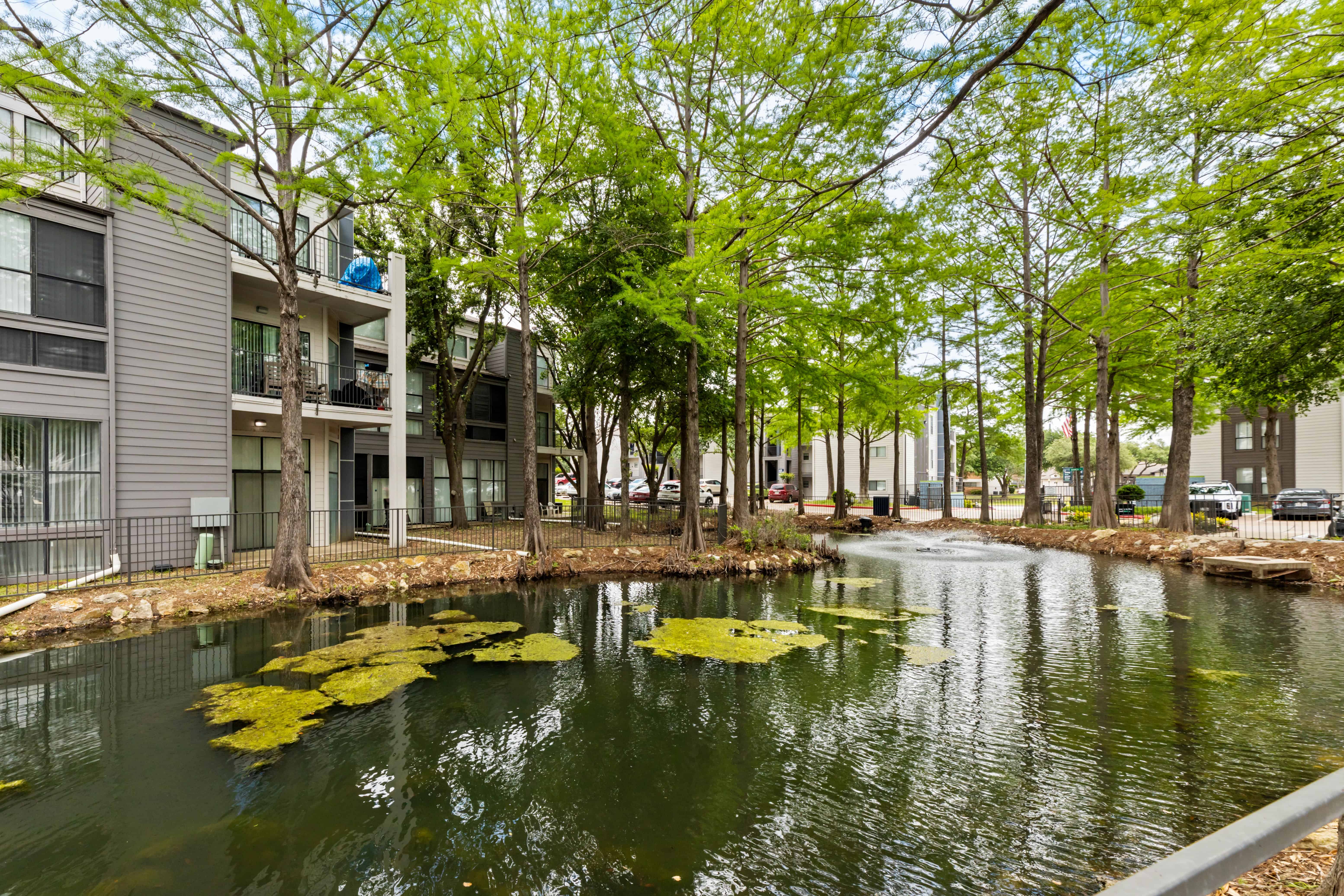 Lake on property 