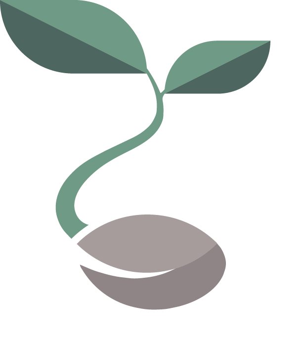 A minimalist vector illustration of a sprouting seed