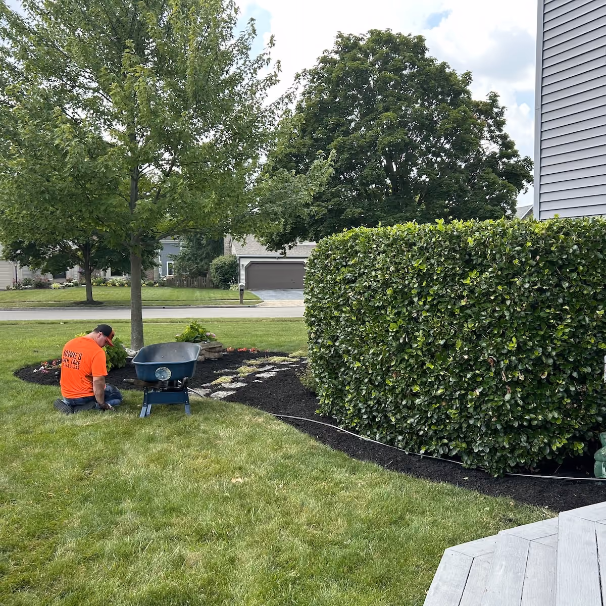 Professional bush trimming near me by Howie’s Lawn Care LLC in West Jefferson, Ohio
