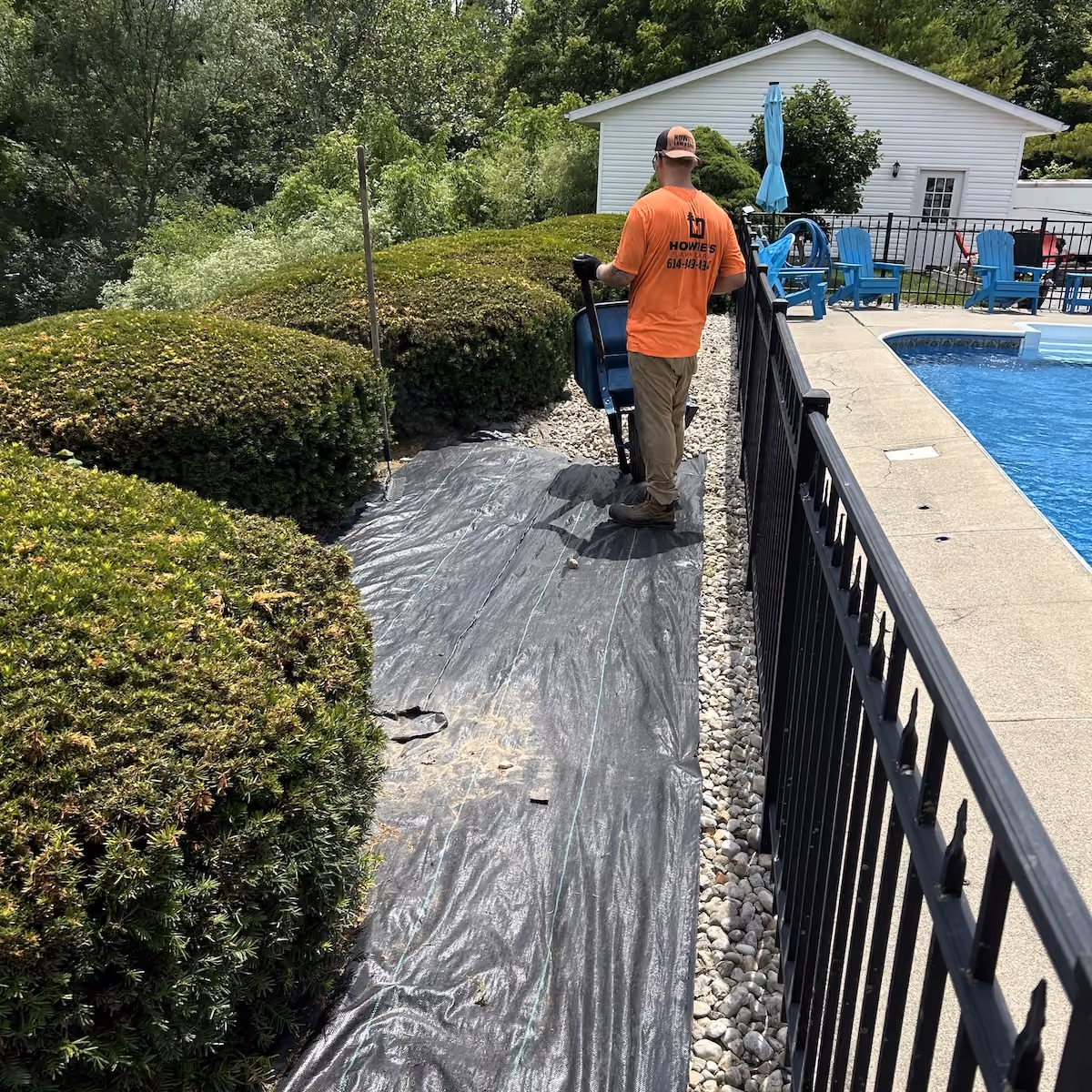 tree and shrub trimming near me in Plain City, Ohio