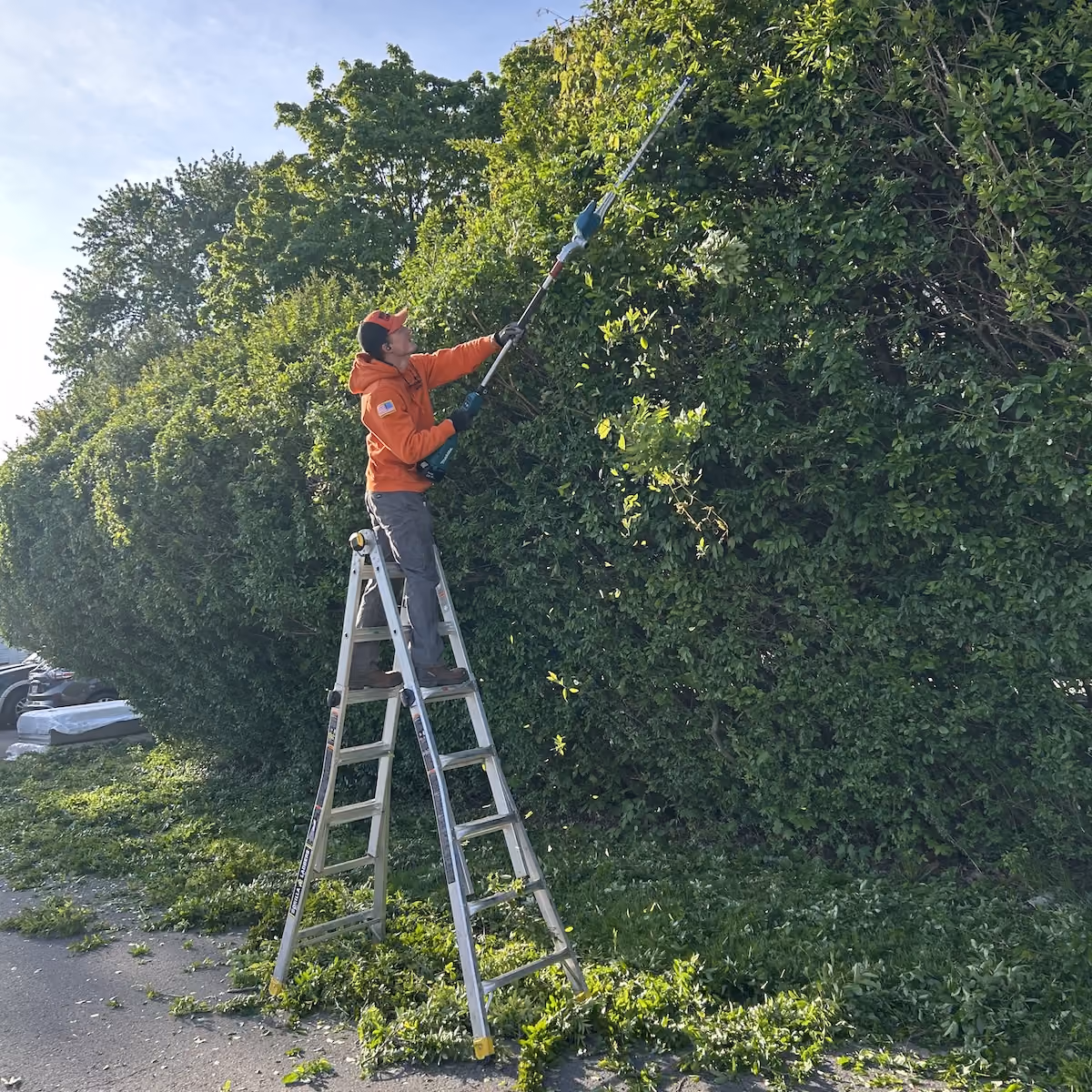 professional bush trimming by Howie's Lawn Care LLC