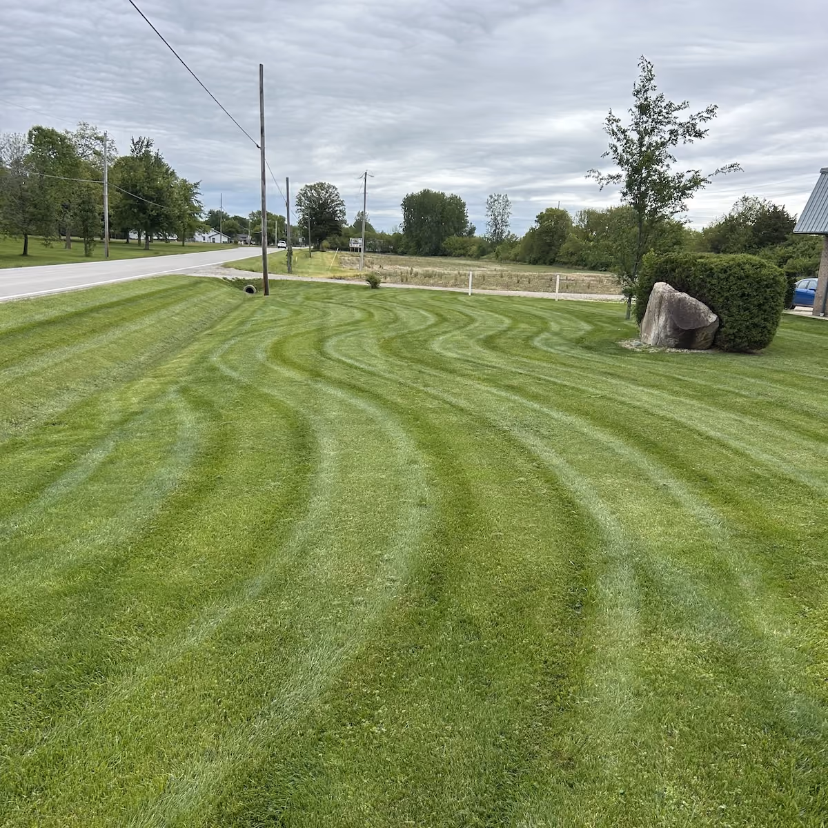healthy green lawn after professional lawn maintenance
