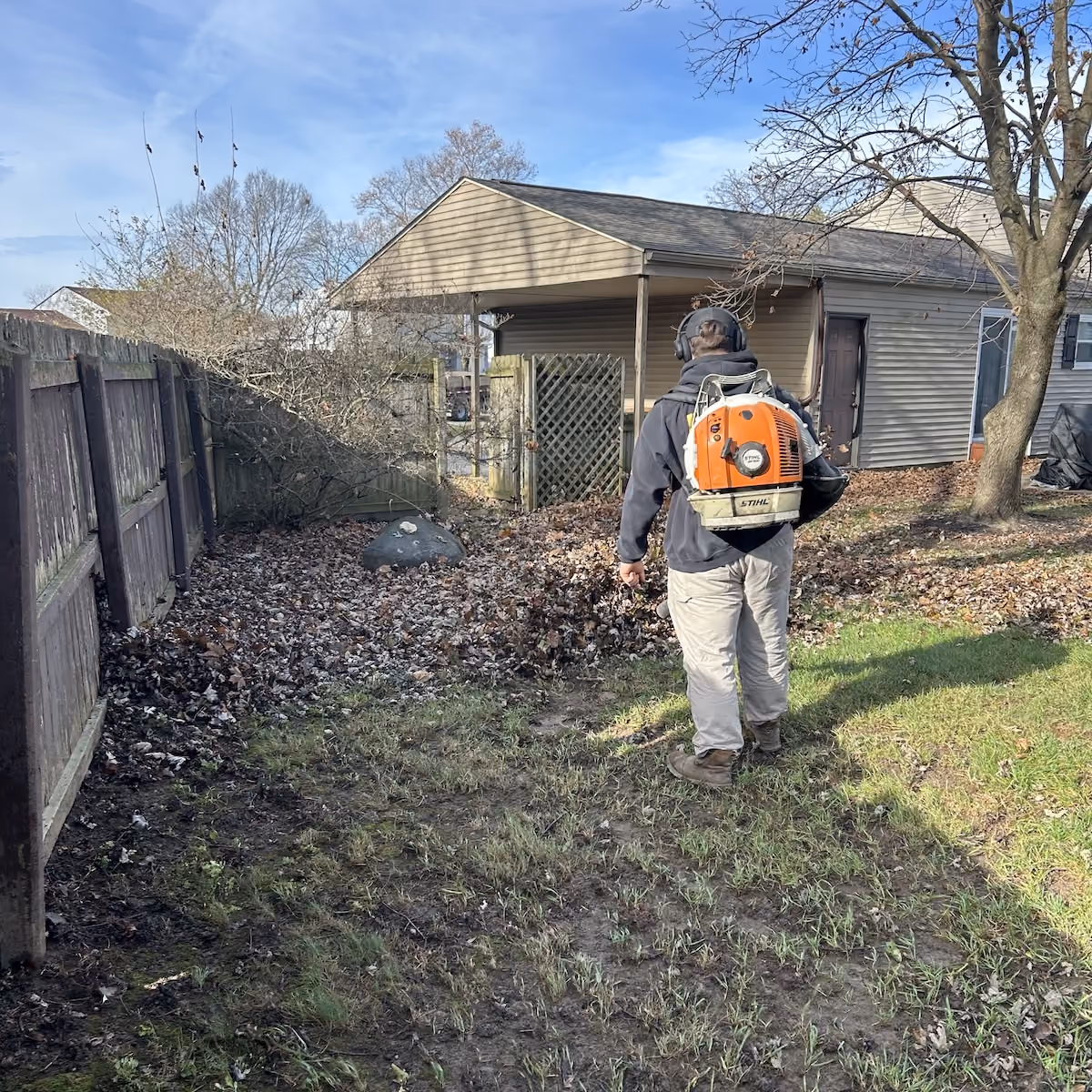 residential yard cleanup and leaf removal