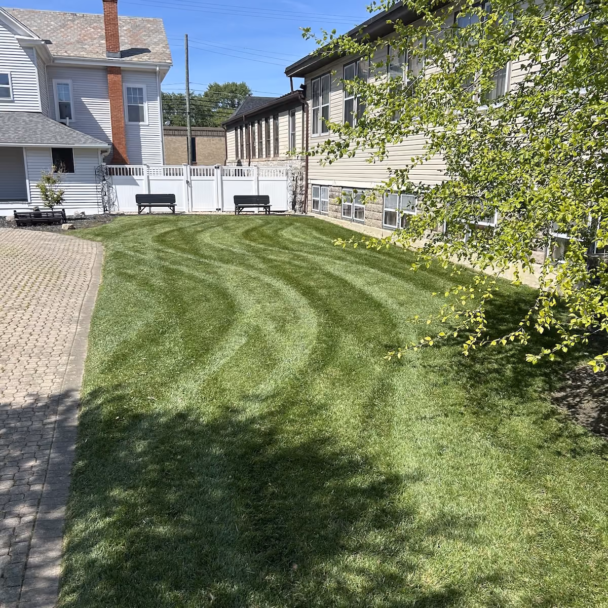 freshly cut and maintained residential lawn