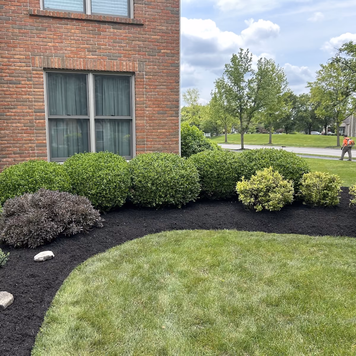 freshly edged landscape beds in West Jefferson, Ohio